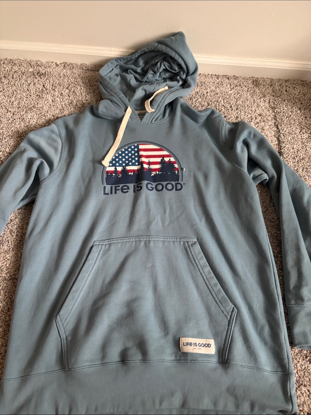 Life Is Good Men's Light Blue Hoodie with Flag Graphic - Picture 1 of 1